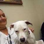 Hannah Creek Veterinary Hospital