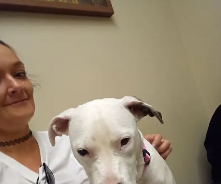 Hannah Creek Veterinary Hospital