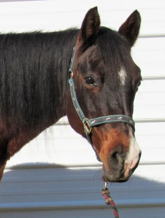 Hannah Creek Veterinary Hospital Picture 6