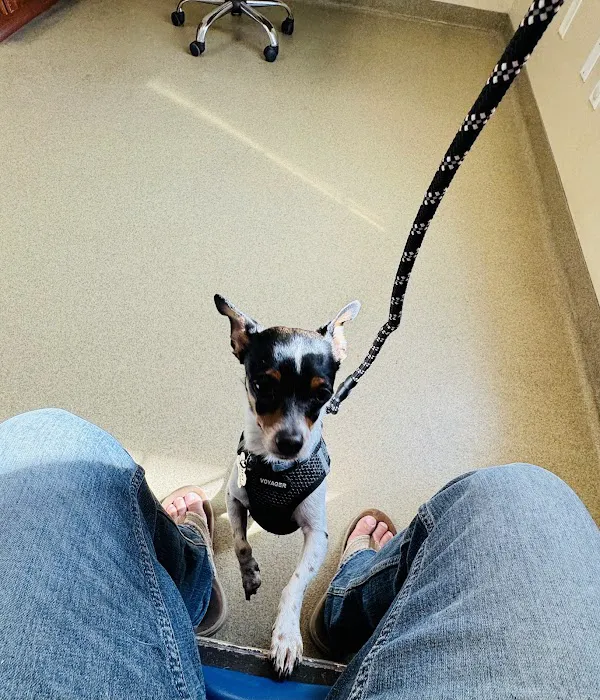 Hannah Creek Veterinary Hospital Picture 2
