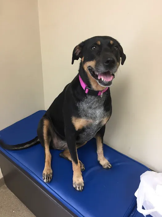 Hannah Creek Veterinary Hospital Picture 7