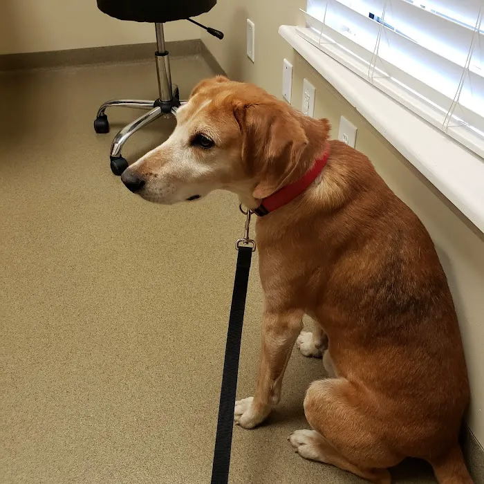 Hannah Creek Veterinary Hospital Picture 9