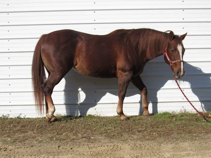 Hannah Creek Veterinary Hospital Picture 10