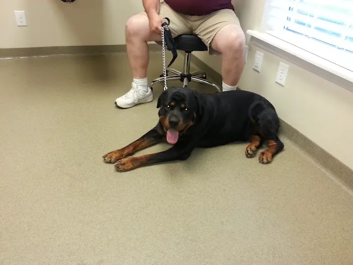 Hannah Creek Veterinary Hospital Picture 8