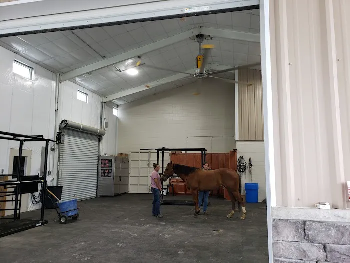Hannah Creek Veterinary Hospital Picture 3