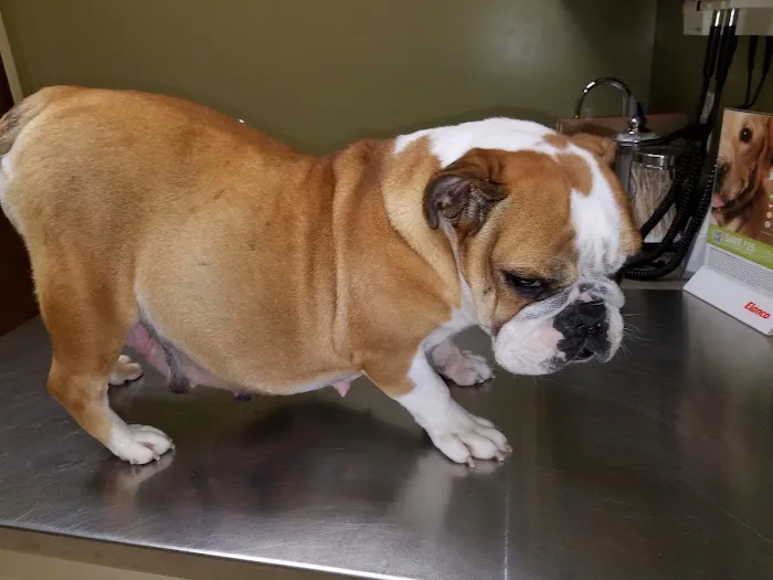 Goldsboro Veterinary Hospital Picture 1