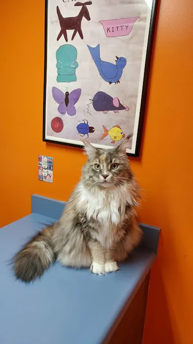 North Wayne Animal Hospital Picture 8