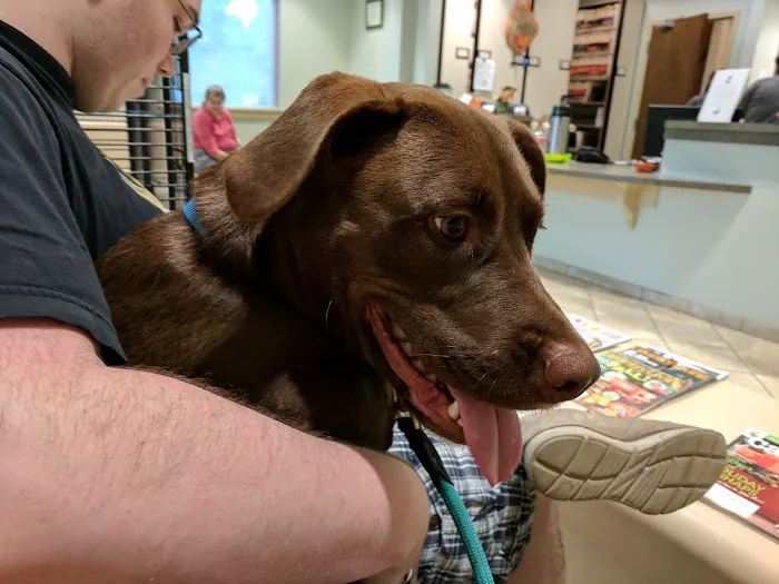 Wayne Veterinary Hospital Picture 9