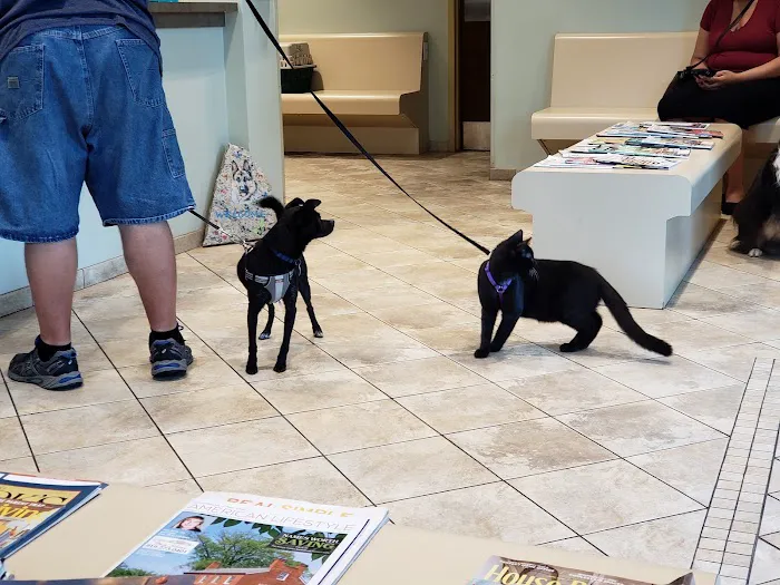 Wayne Veterinary Hospital Picture 6
