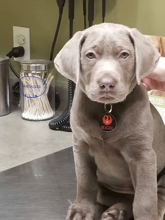 Wayne Veterinary Hospital Picture 8