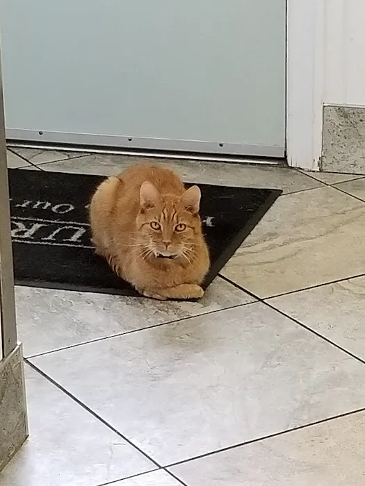 Landmark Animal Clinic Picture 7