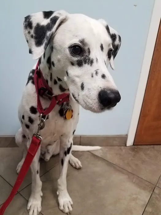 Berkeley Veterinary Clinic Picture 3