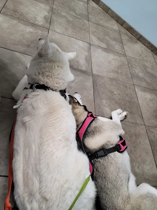 Berkeley Veterinary Clinic Picture 9