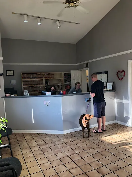 Eastwaye Veterinary Clinic Picture 1