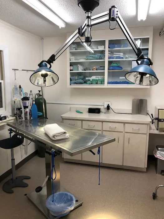 Eastwaye Veterinary Clinic Picture 7