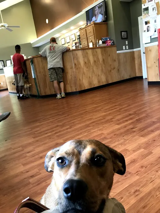 Stage Road Animal Hospital Picture 3