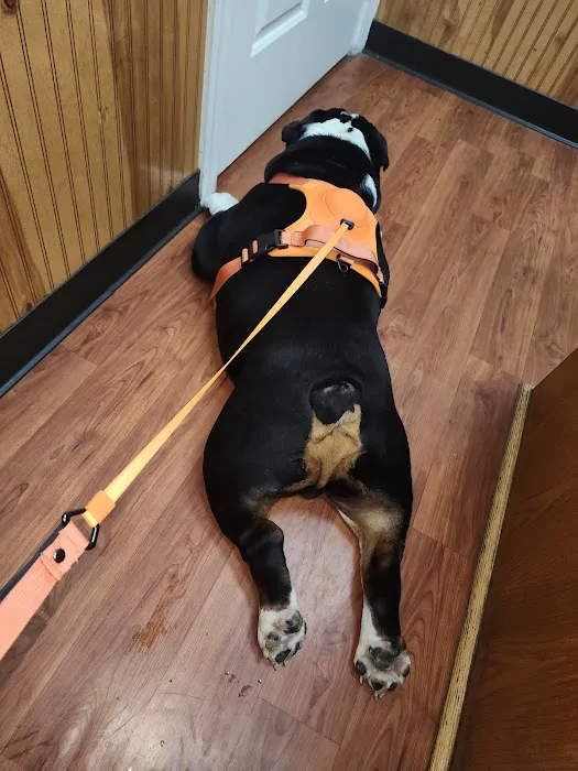 Stage Road Animal Hospital Picture 5