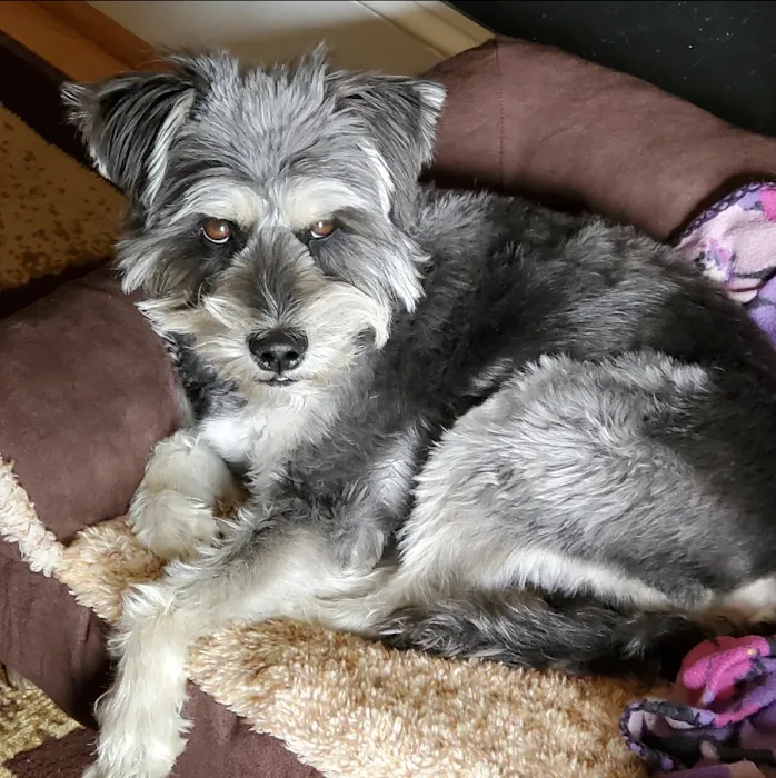 Crepe Myrtle Animal Hospital Picture 10