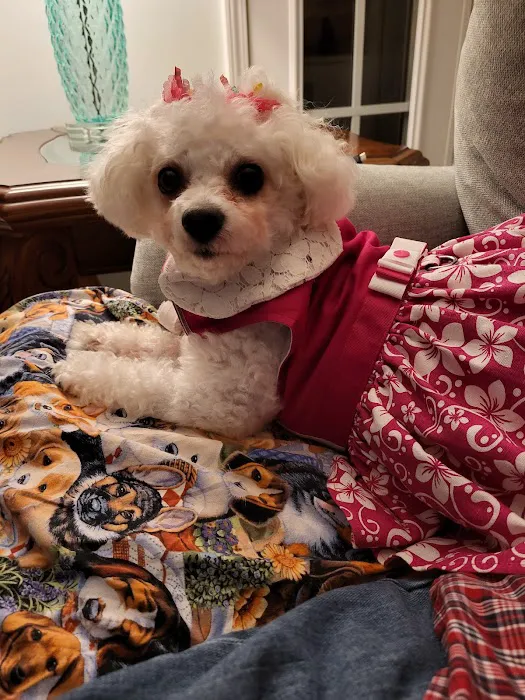 Crepe Myrtle Animal Hospital Picture 9