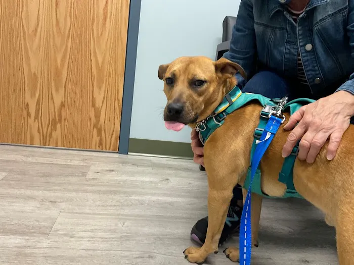 5-Points Animal Hospital Picture 3