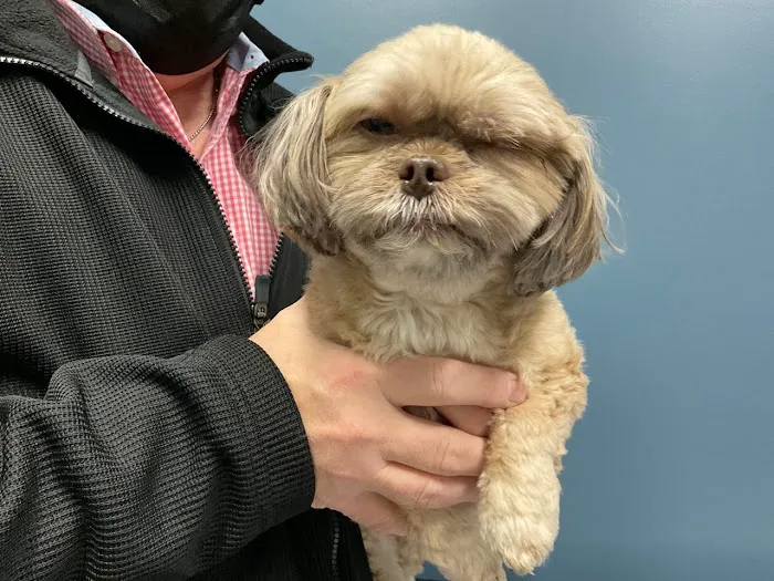 5-Points Animal Hospital Picture 7