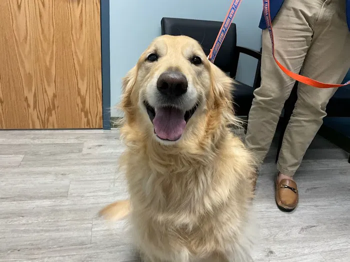 5-Points Animal Hospital Picture 6