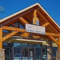 5-Points Animal Hospital ico