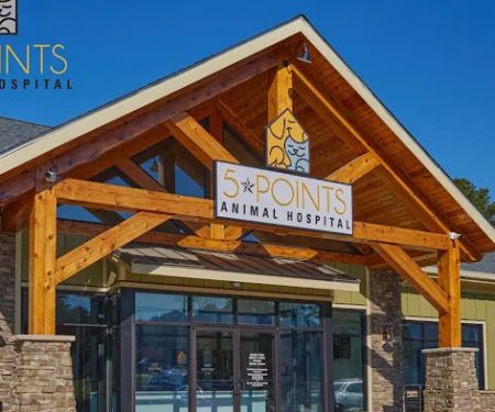 5-Points Animal Hospital