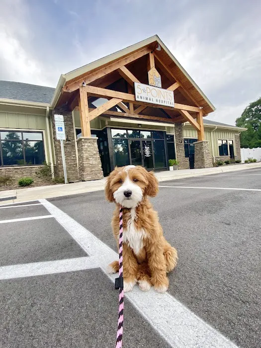 5-Points Animal Hospital Picture 9