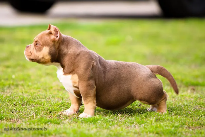 Fuquay Veterinary Hospital Picture 2