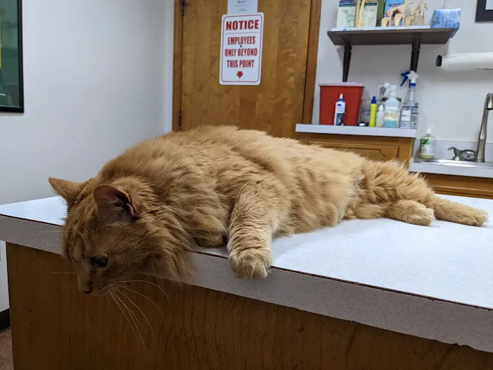 Fuquay Veterinary Hospital Picture 7