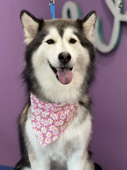 Fuquay Veterinary Hospital Picture 10