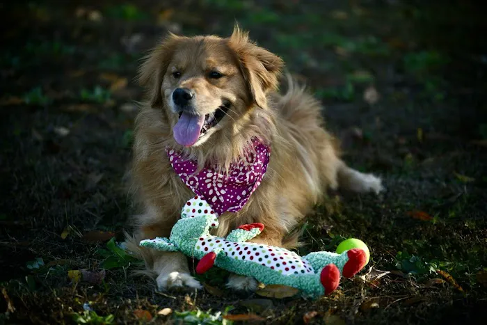 Hilltop Animal Hospital Picture 7