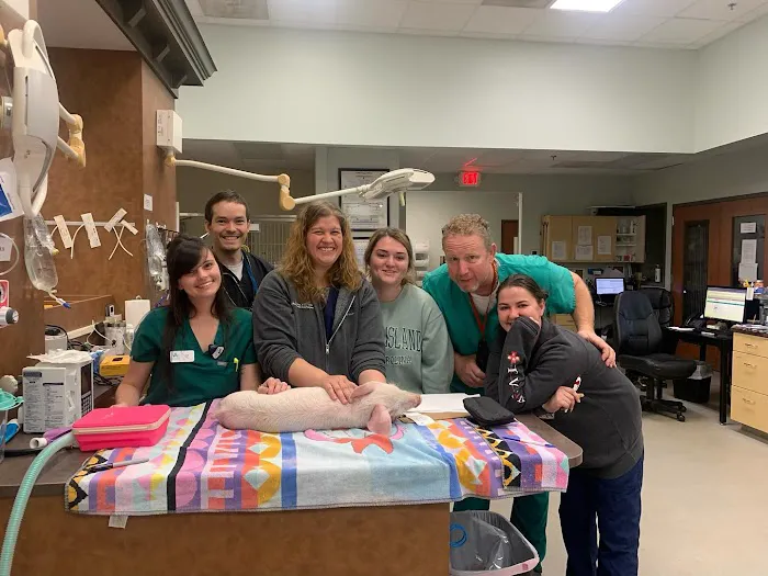 Triangle Veterinary Referral Hospital of Holly Springs Picture 8