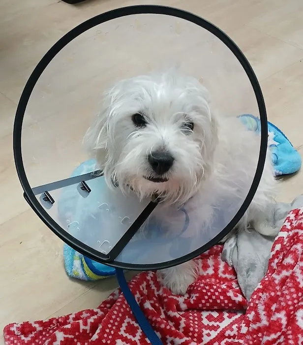 Grace Animal Hospital Picture 4