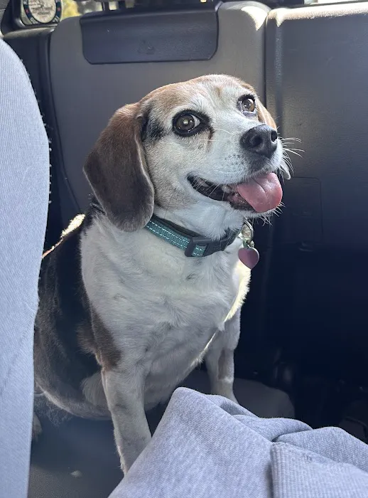Grace Animal Hospital Picture 8