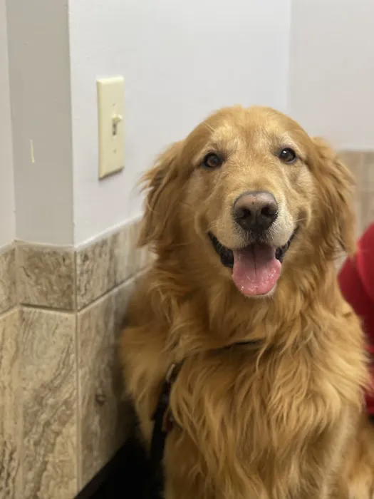 VCA Broad Street Animal Hospital Picture 5