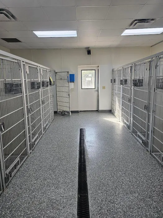 VCA Broad Street Animal Hospital Picture 8