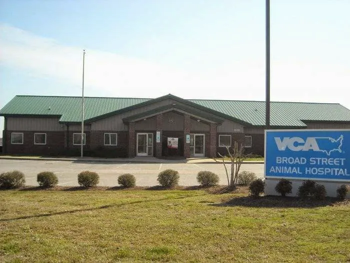 VCA Broad Street Animal Hospital Picture 6