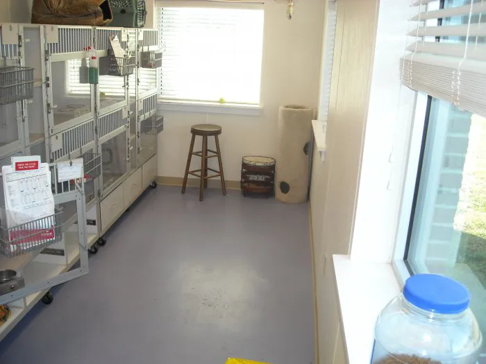 VCA Broad Street Animal Hospital Picture 9