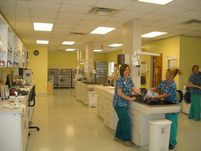 VCA Broad Street Animal Hospital Picture 10