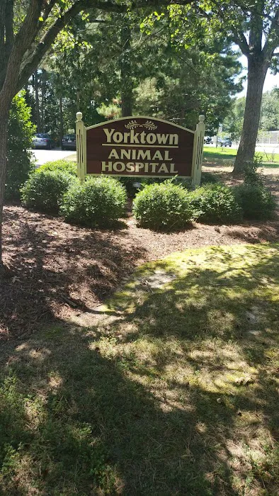Yorktown Animal Hospital Picture 5