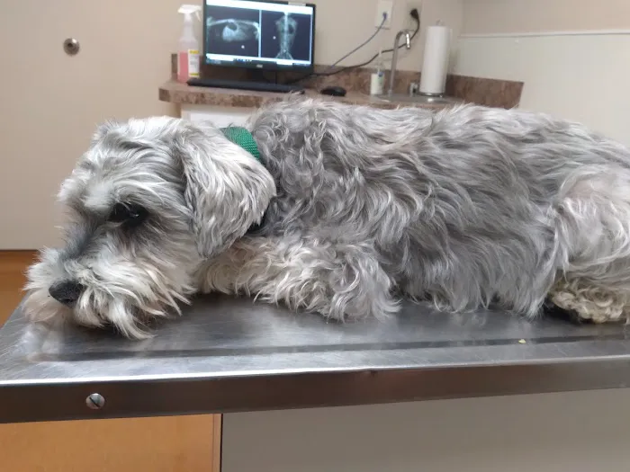 Yorktown Animal Hospital Picture 7