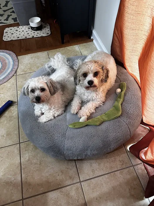 Banfield Pet Hospital Picture 4