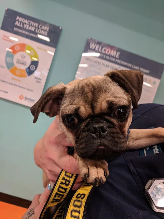 Banfield Pet Hospital Picture 9