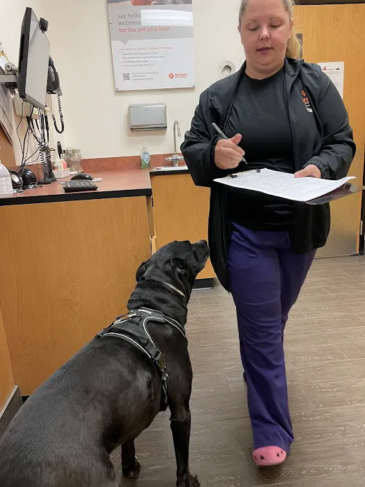 Banfield Pet Hospital Picture 6