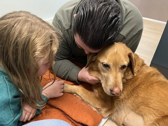Coastal Animal Referral Emergency (CARE) Picture 5