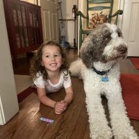 Colonial Veterinary Clinic ico