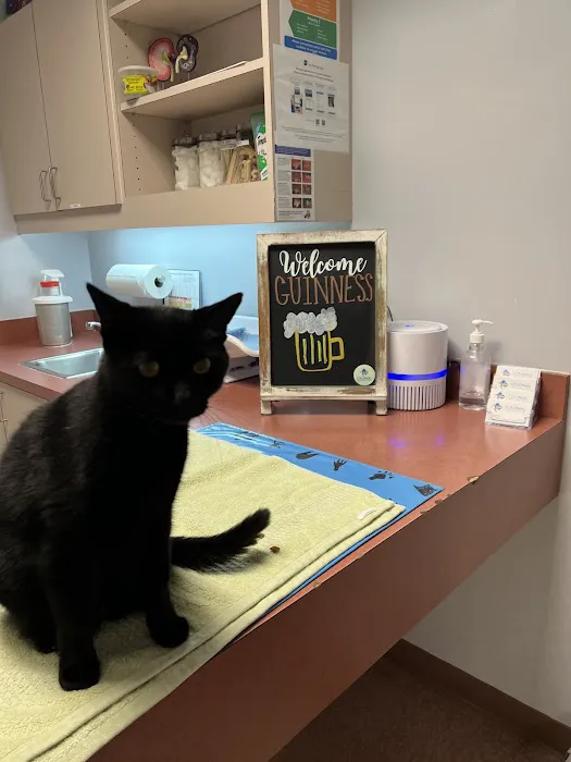 Colonial Veterinary Clinic Picture 9