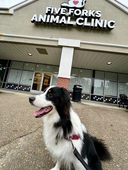 Five Forks Animal Clinic Picture 4